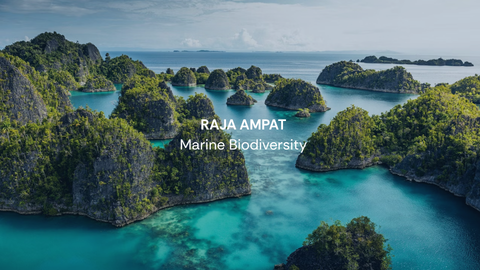 Raja Ampat